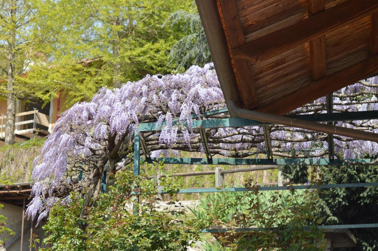 L'Uovo E La Faina Bed & Breakfast Busca Exterior foto