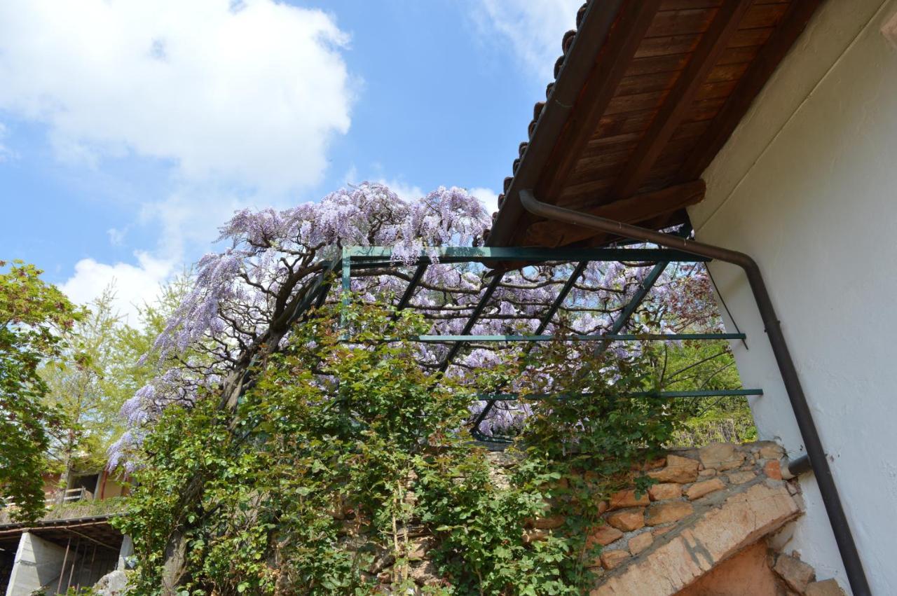 L'Uovo E La Faina Bed & Breakfast Busca Exterior foto